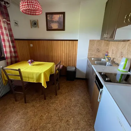 Apartma Pri Toncki *