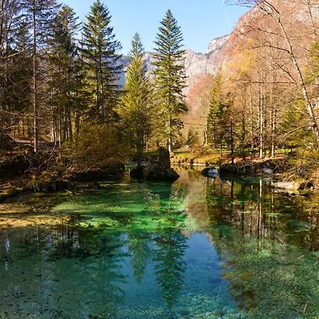 Apartma Fonda * Bohinj