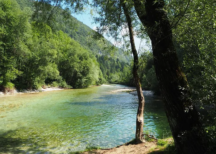 Apartment Apartma Fonda